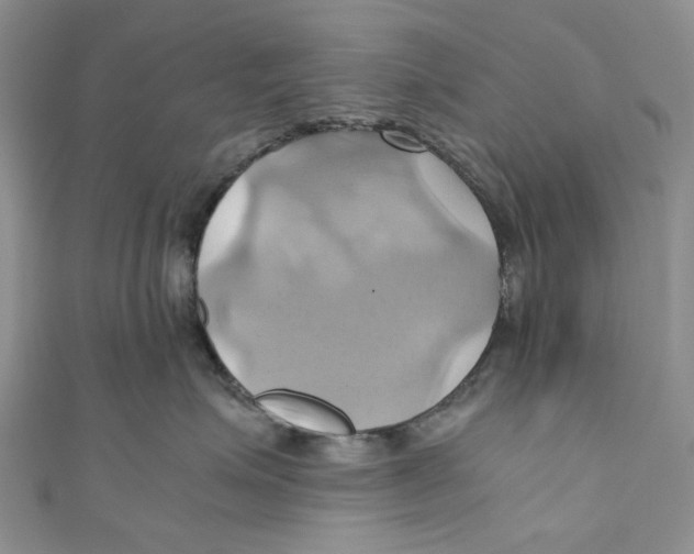 X0000110970623200907171712
