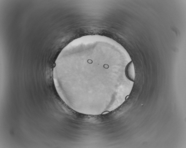 X0000110970624200907171712