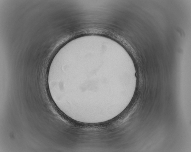 X0000110970625200907171711