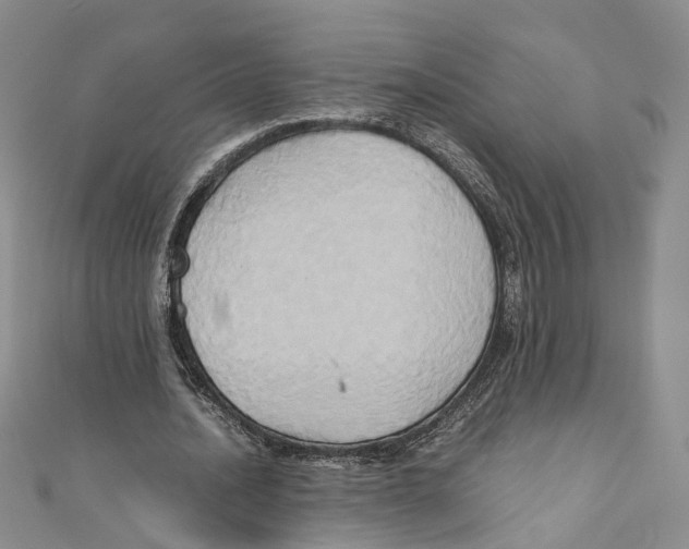 X0000110970628200907171711