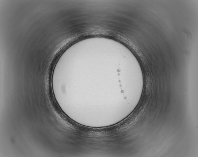 X0000110970629200907171711