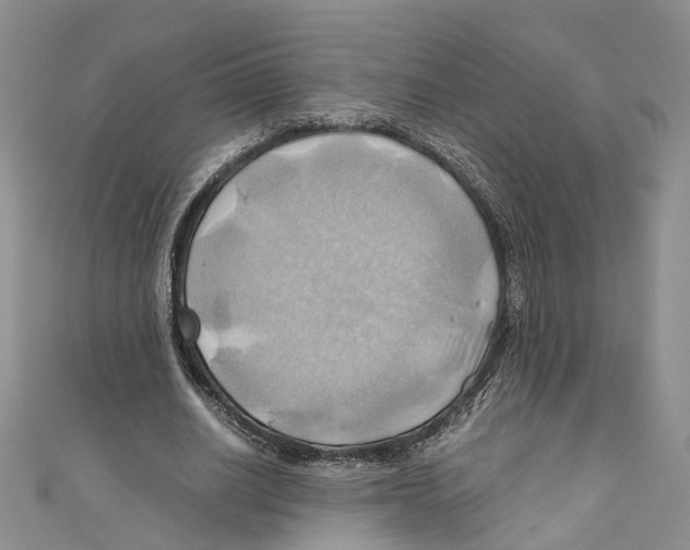 X0000110970630200907171711
