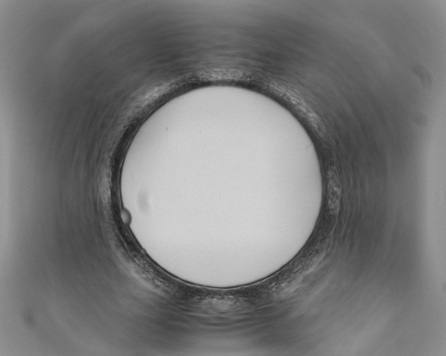 X0000110970631200907171711