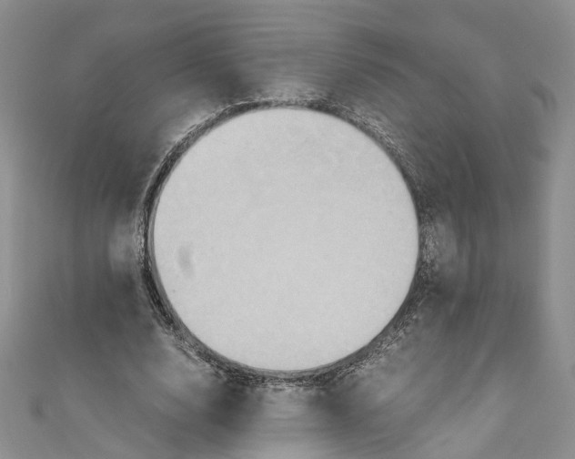 X0000110970632200907171711