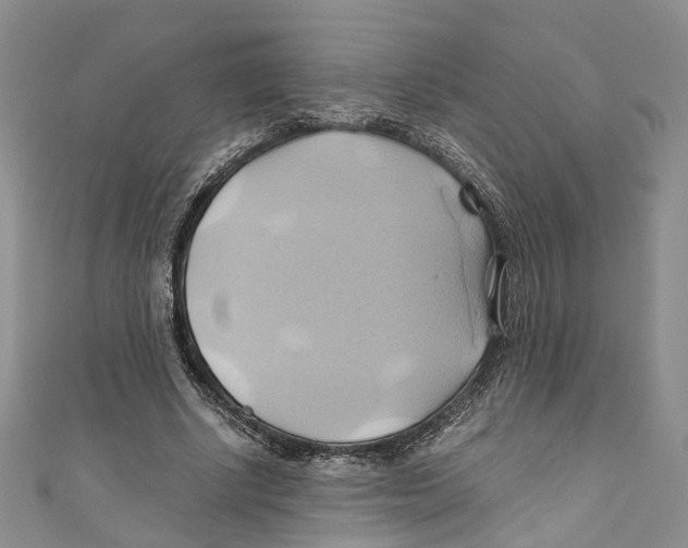 X0000110970634200907171711