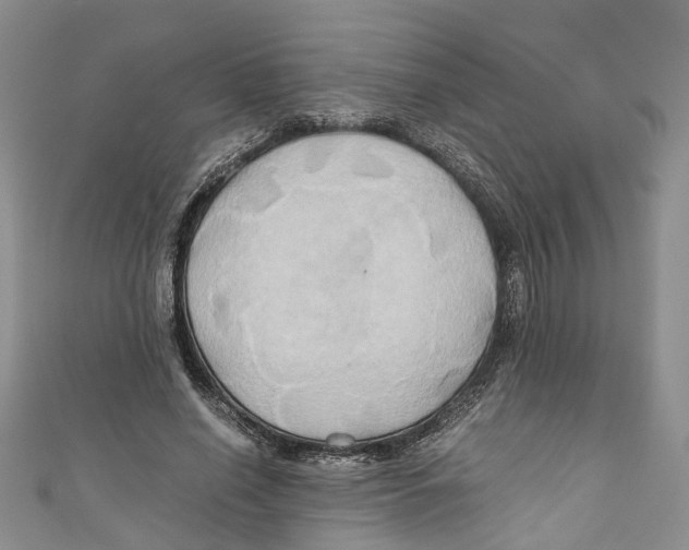 X0000110970638200907171711