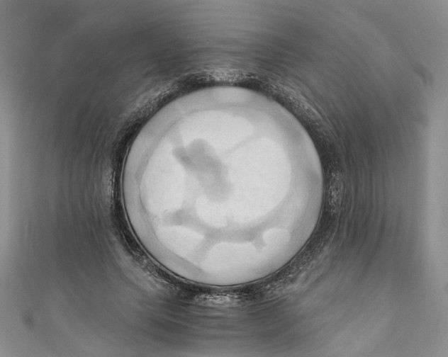X0000110970639200907171711