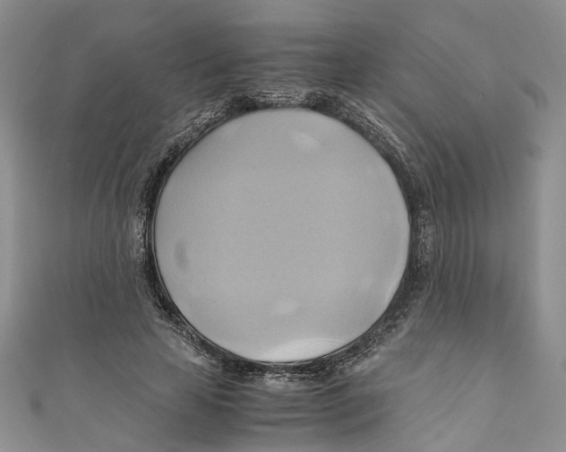 X0000110970641200907171711