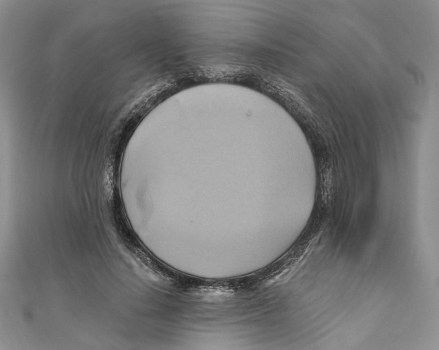 X0000110970644200907171711