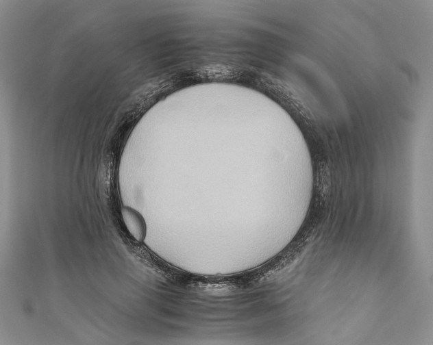 X0000110970645200907171712