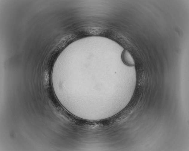 X0000110970646200907171712