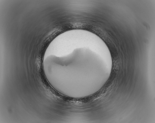 X0000110970648200907171712