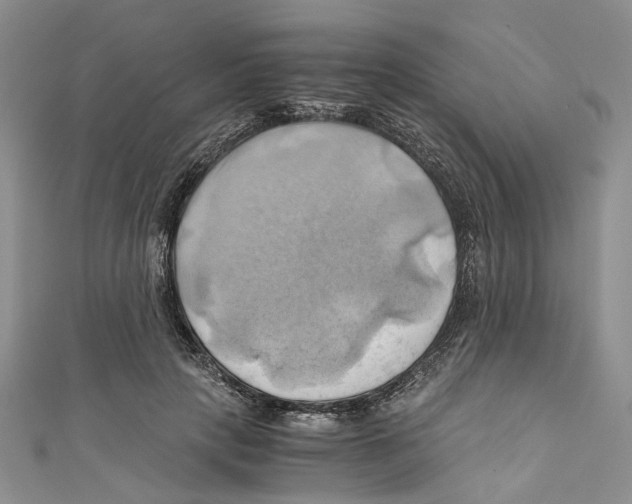 X0000110970649200907171712