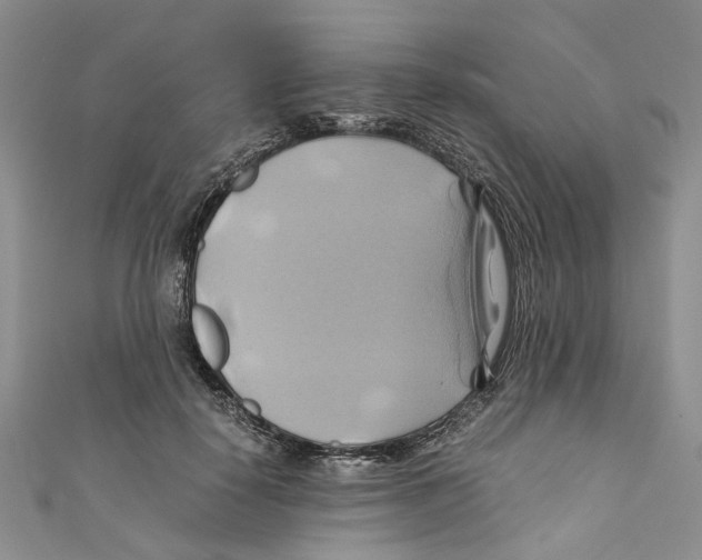X0000110970650200907171712