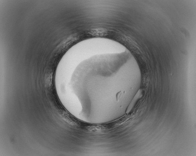 X0000110970652200907171712