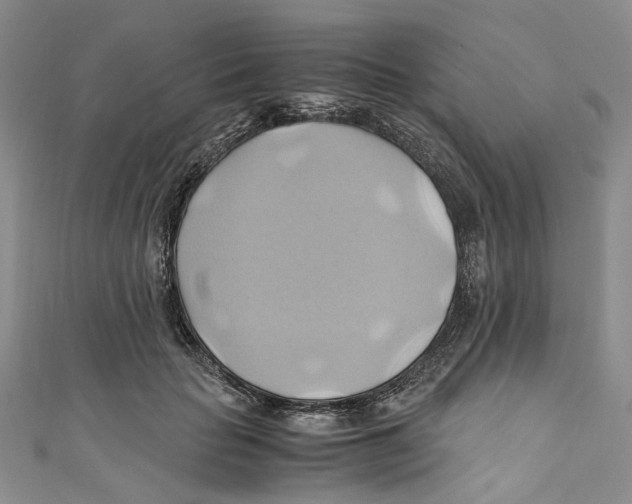 X0000110970653200907171712