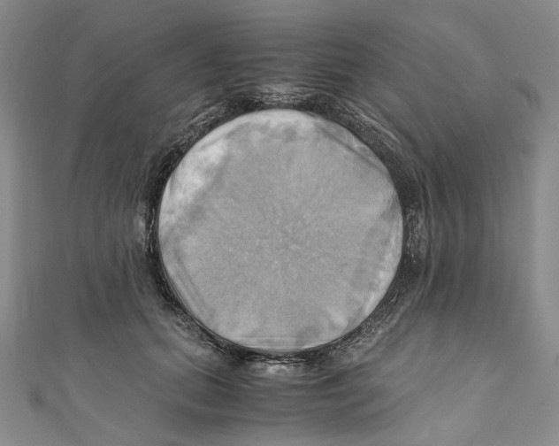 X0000110970655200907171712
