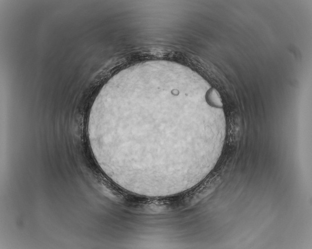X0000110970656200907171712