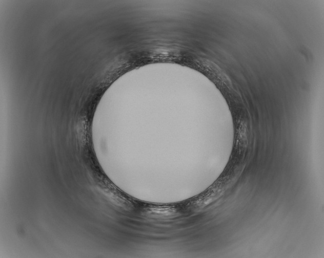 X0000110970659200907171712