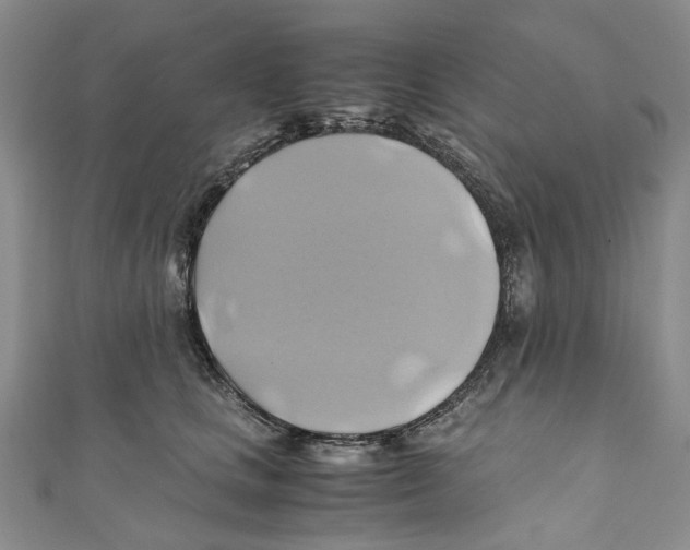 X0000110970661200907171712
