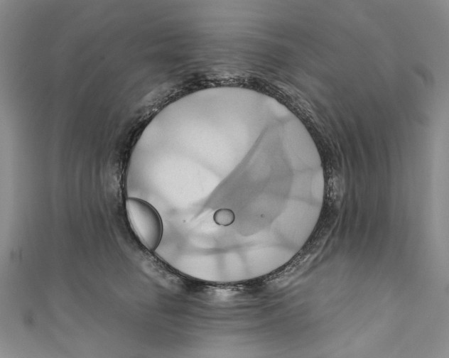 X0000110970662200907171712