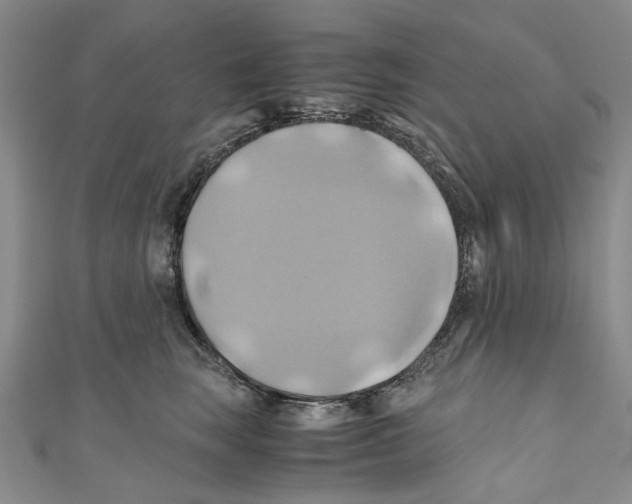 X0000110970663200907171712