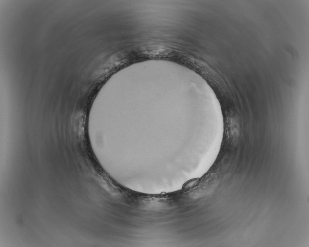 X0000110970664200907171712