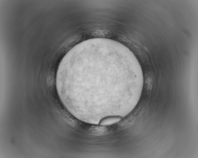 X0000110970665200907171712