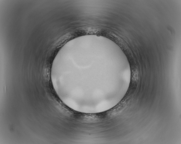 X0000110970666200907171712