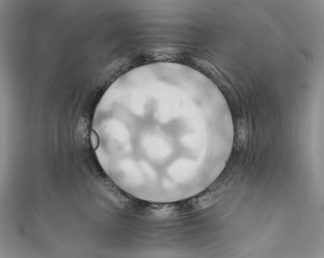 X0000110970667200907171712