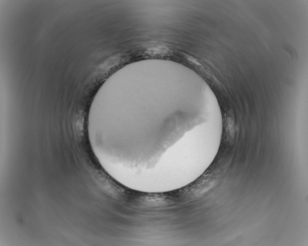 X0000110970668200907171712