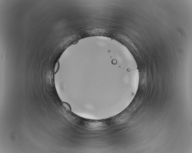 X0000110970669200907171712