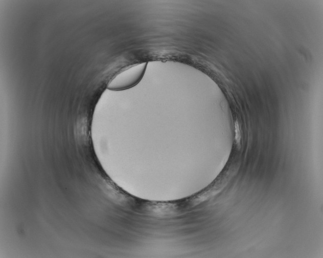 X0000110970670200907171712