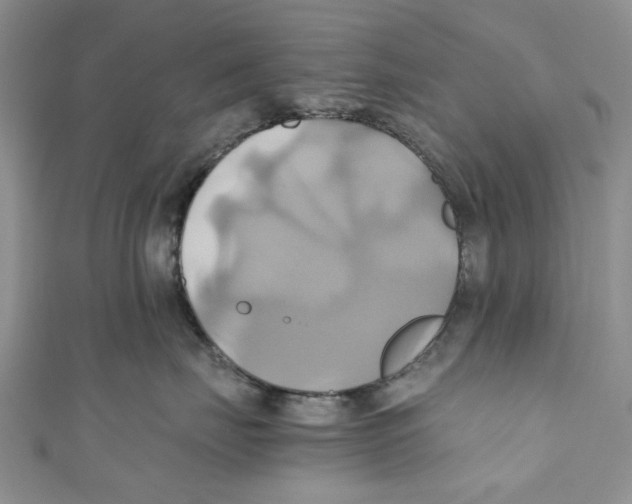 X0000110970671200907171712