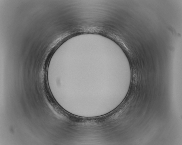 X0000110970674200907171711