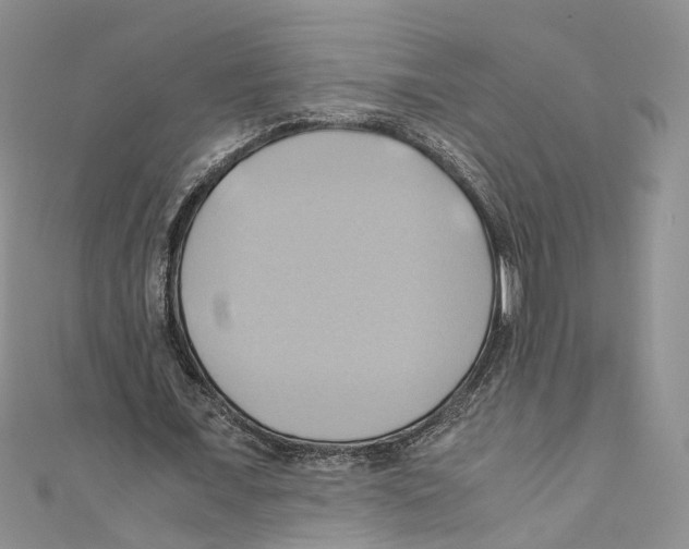 X0000110970675200907171711