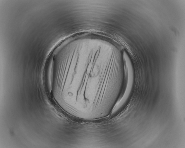 X0000110970676200907171711