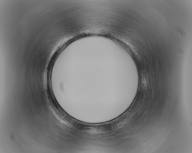 X0000110970678200907171711