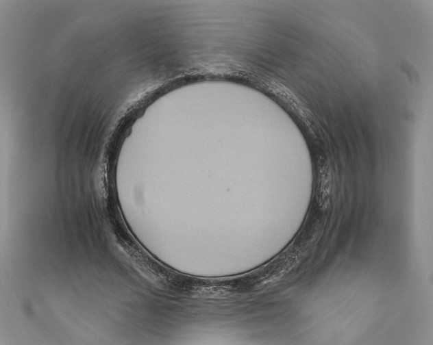 X0000110970680200907171711