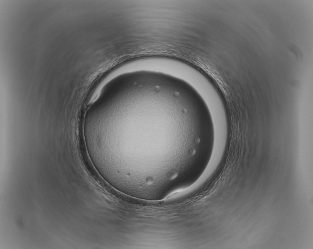 X0000110970681200907171711