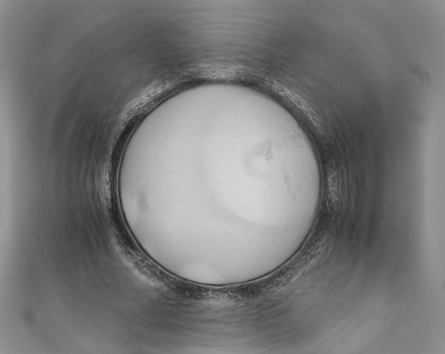 X0000110970682200907171711