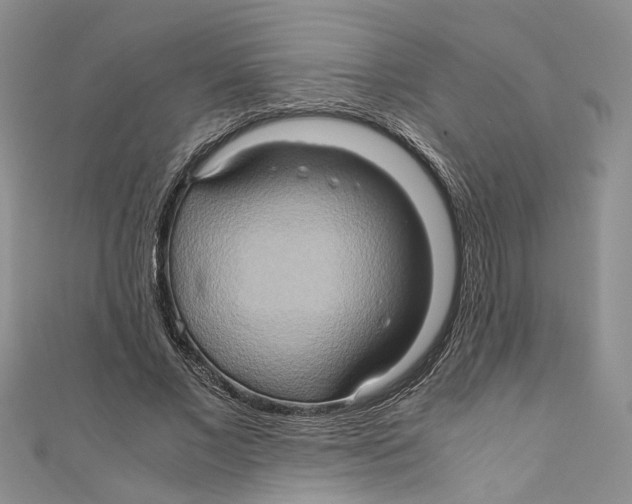 X0000110970685200907171711