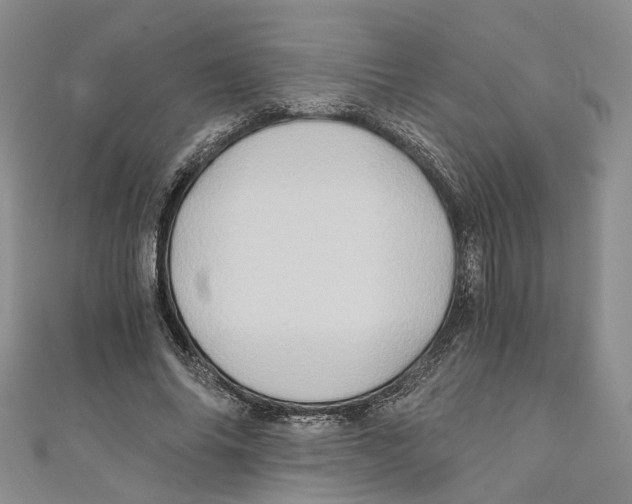 X0000110970686200907171711
