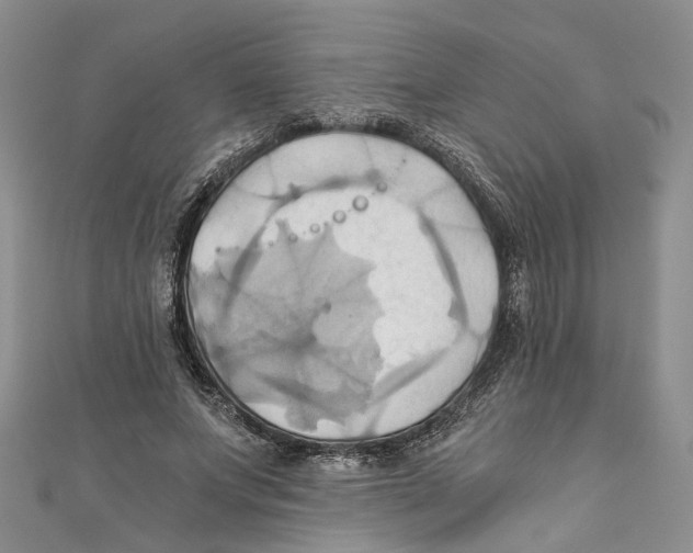 X0000110970687200907171711