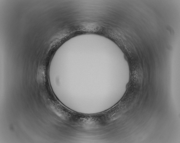 X0000110970688200907171711