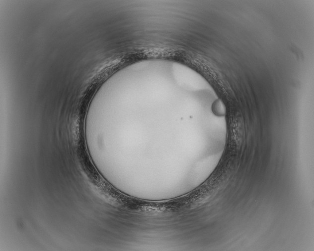 X0000110970690200907171711