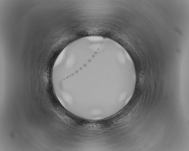 X0000110970691200907171711
