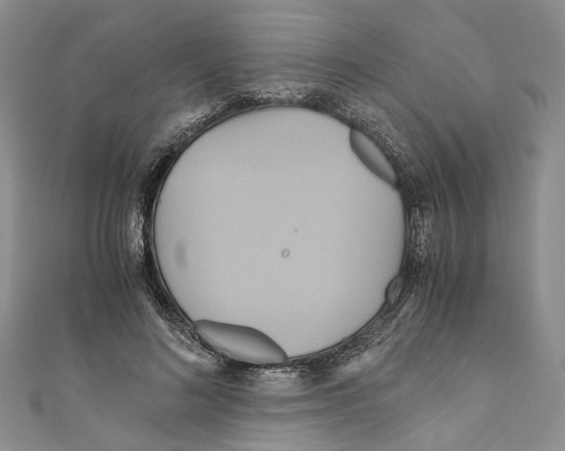 X0000110970692200907171711
