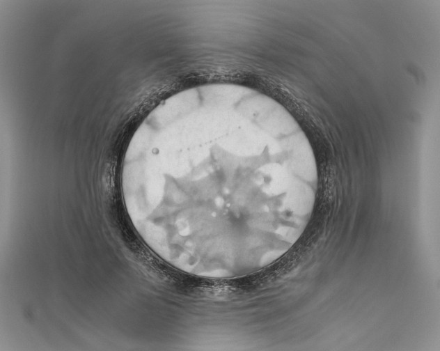 X0000110970695200907171711
