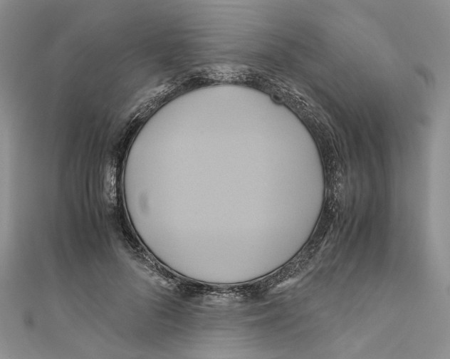 X0000110970696200907171711